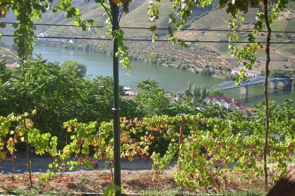 Quinta Da Galeira Villa Pinhão Szoba fotó